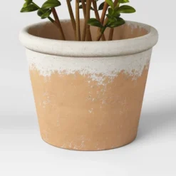 Artificial Medium Boxwood In Terracotta Pot Green - Threshold™ Designed With Studio McGee 9 Artificial Medium Boxwood In Terracotta Pot Green - Threshold™ Designed With Studio McGee -Threshold GUEST 3859bebc ef74 4067 b0a8 d2730a37750b