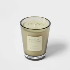 Colored Vase Glass With Dustcover Watermint And Eucalyptus Candle Green - Threshold™ 15 Colored Vase Glass With Dustcover Watermint And Eucalyptus Candle Green - Threshold™ -Threshold GUEST ae8e6bdf 6741 4047 bc7b 87c9f71c548e